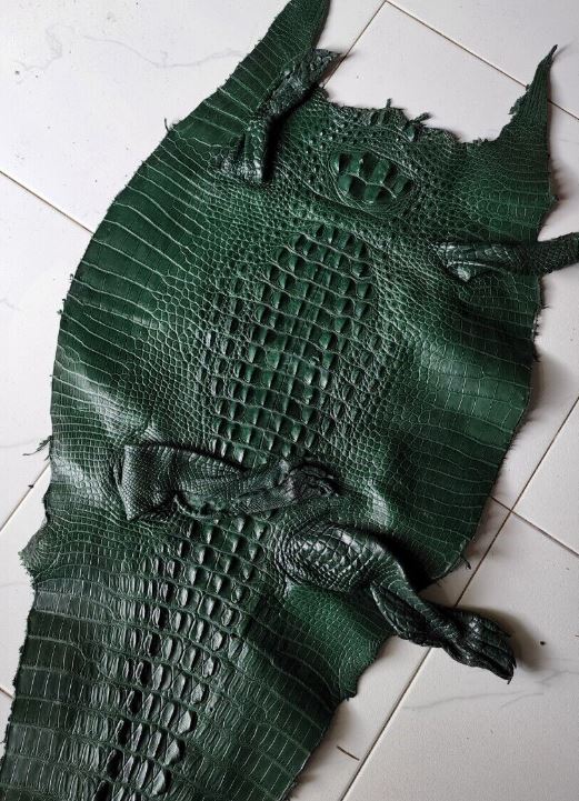 Crocodile Divider pouch - Made to order